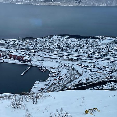Narvik Sentrum Apartman Kültér fotó